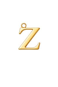 Letter Z Charm