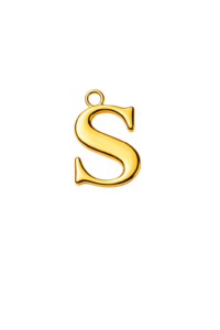 Letter S Charm