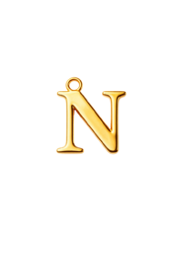 Letter N Charm